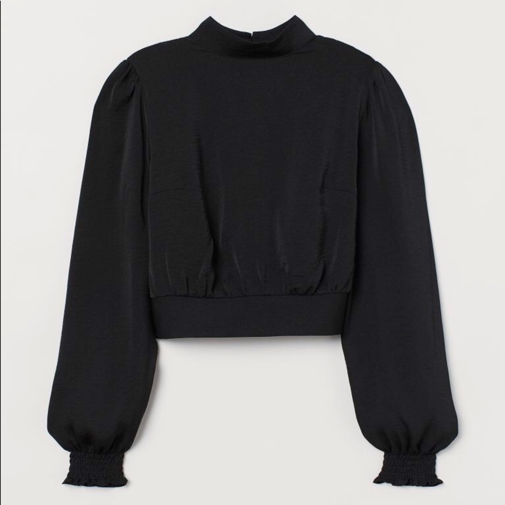 NWT Open Back Cropped Long Sleeve Blouse